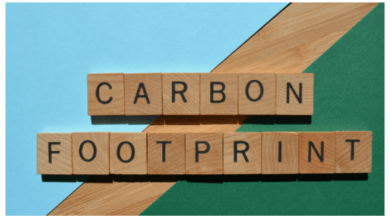 understanding-the-importance-of-a-carbon-footprint-calculator-for-enterprises