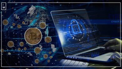 ransomware-crisis:-fx-and-crypto-sectors-show-resilience-as-attacks-soar-over-70%